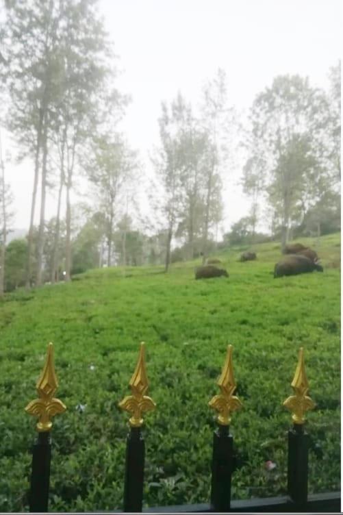 Franc Villa - Kothagiri コタジリ エクステリア 写真